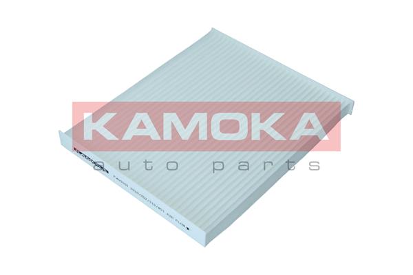 filtras, salono oras - F403301 KAMOKA
