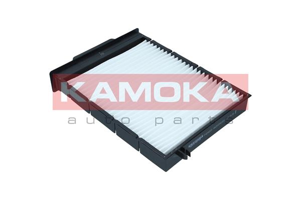 filtras, salono oras - F404201 KAMOKA