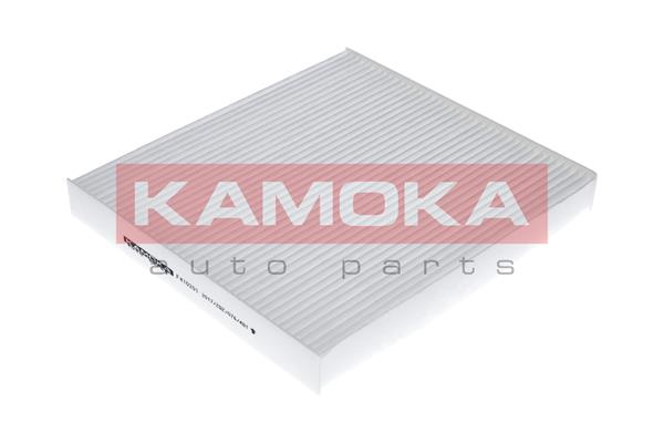 Filter, interior air - F410201 KAMOKA