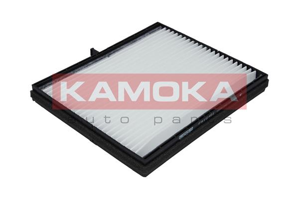 filtras, salono oras - F410401 KAMOKA