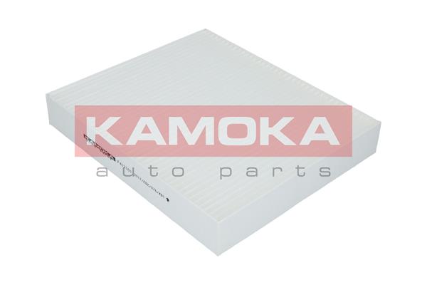 filtras, salono oras - F412101 KAMOKA