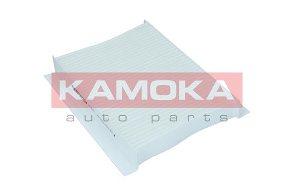 filtras, salono oras - F419101 KAMOKA