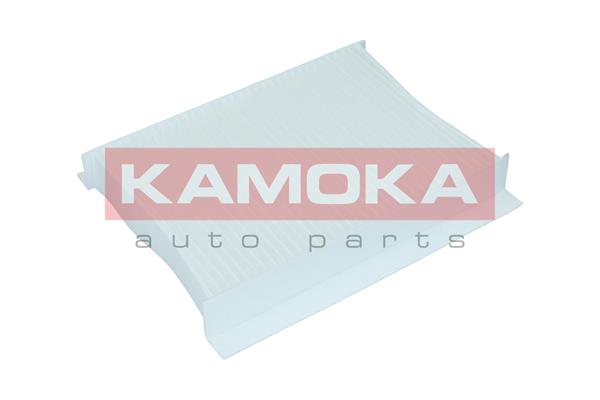 filtras, salono oras - F419101 KAMOKA