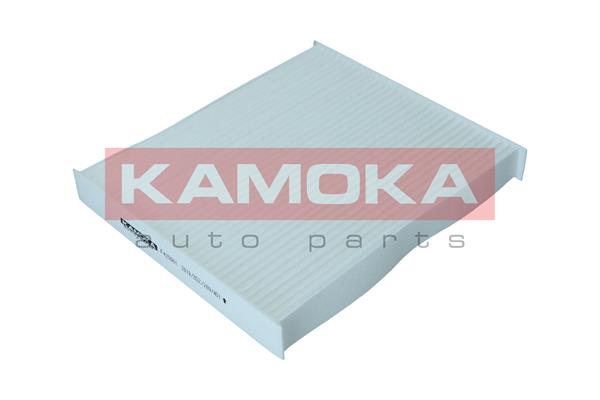 Filter, interior air - F420001 KAMOKA