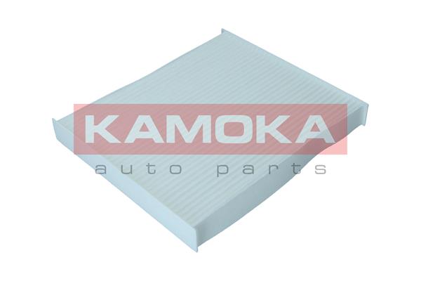 Filter, interior air - F420001 KAMOKA