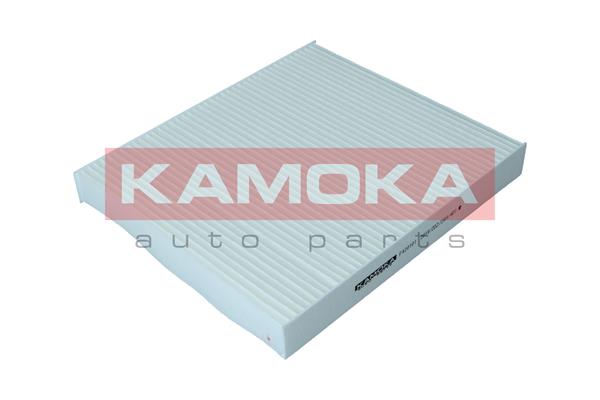 Filter, interior air - F420101 KAMOKA