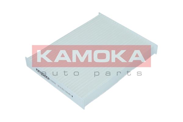 Filter, interior air - F420201 KAMOKA