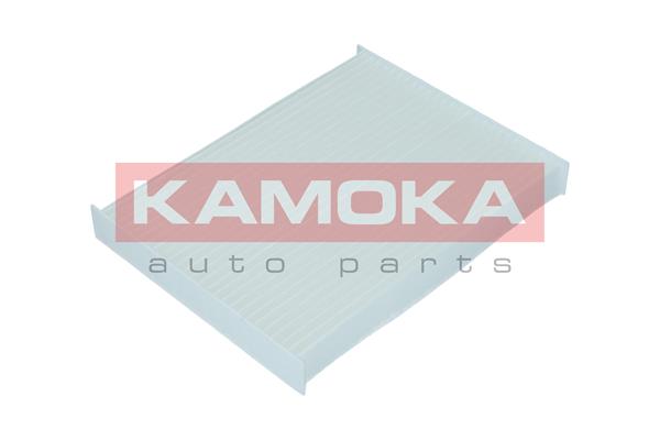 Filter, interior air - F420201 KAMOKA