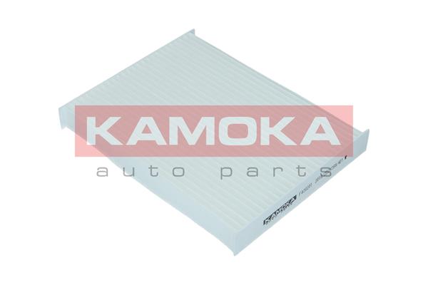 Filter, interior air - F420201 KAMOKA