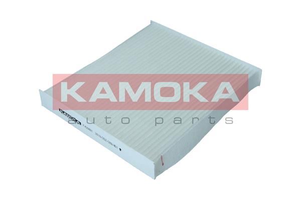 Фильтр, воздух во внутренном пространстве - F420801 KAMOKA