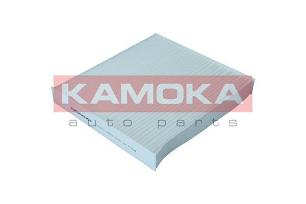 Filter, interior air - F423001 KAMOKA