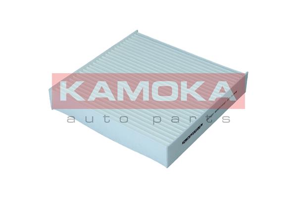 Filter, interior air - F423801 KAMOKA