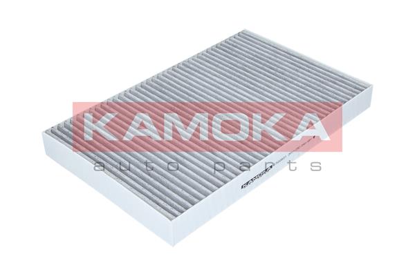 filtras, salono oras - F500801 KAMOKA