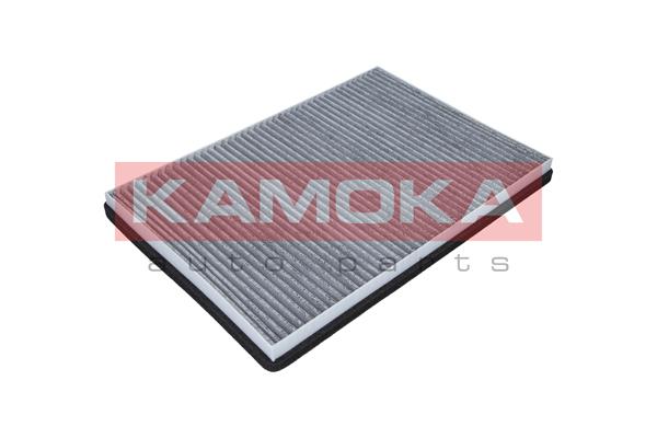filtras, salono oras - F501501 KAMOKA