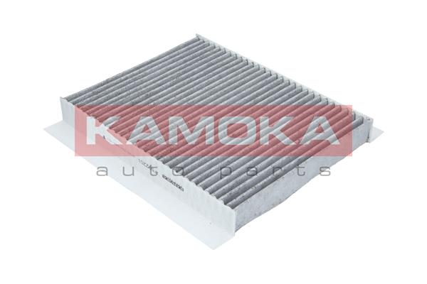 Filter, interior air - F502201 KAMOKA