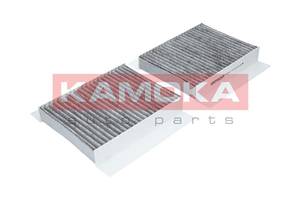 filtras, salono oras - F502501 KAMOKA