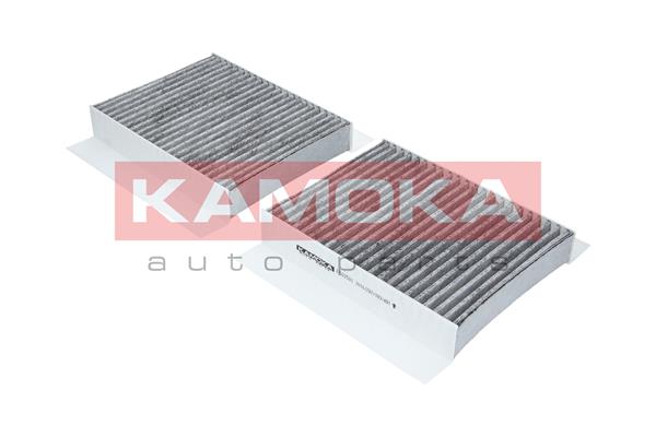 filtras, salono oras - F502501 KAMOKA