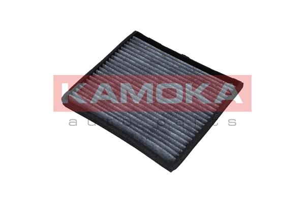 Filter, interior air - F503001 KAMOKA