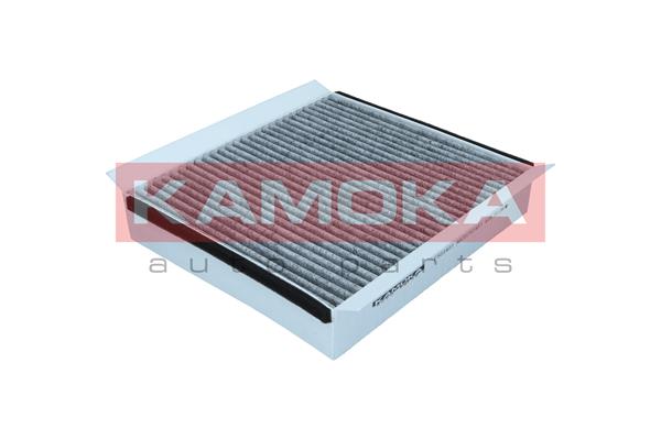 Filter, interior air - F503401 KAMOKA