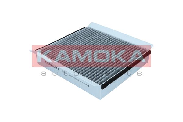 Filter, interior air - F503401 KAMOKA