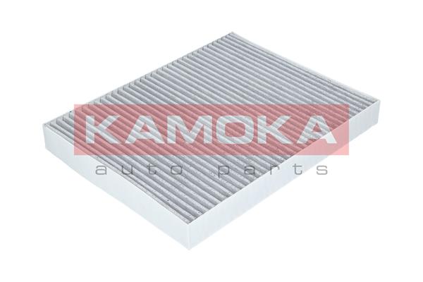 filtras, salono oras - F505101 KAMOKA