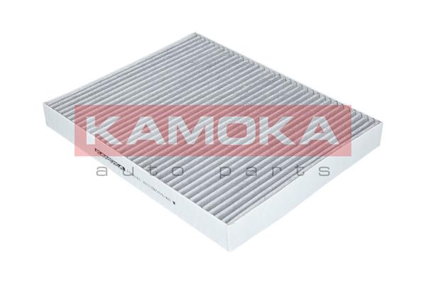 Filter, interior air - F505101 KAMOKA
