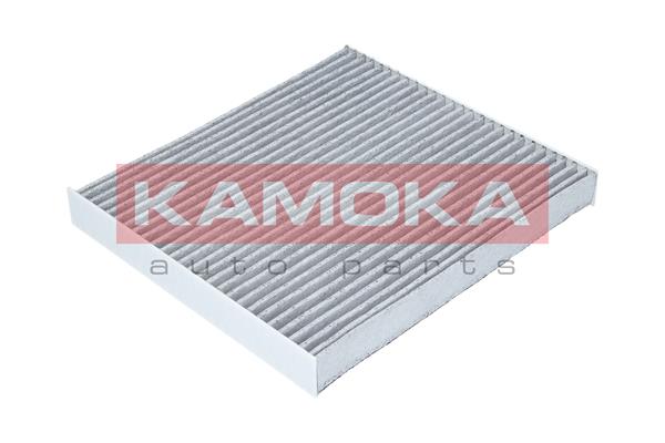 filtras, salono oras - F505401 KAMOKA