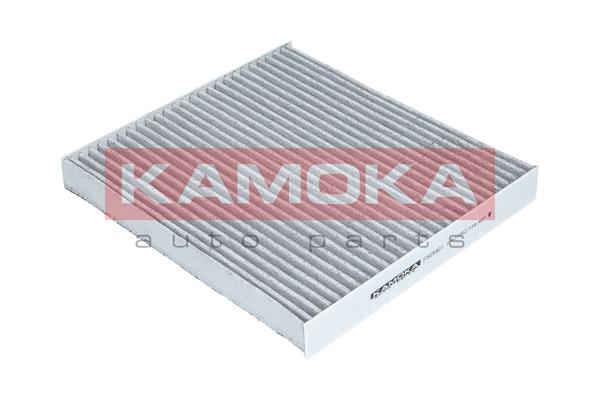 Filter, interior air - F505401 KAMOKA