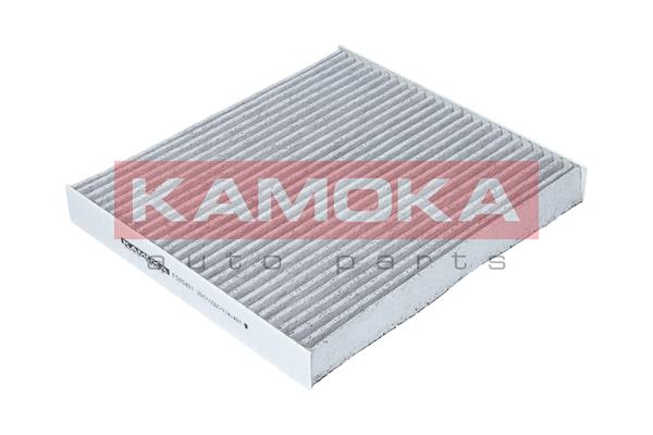 Filter, interior air - F505401 KAMOKA