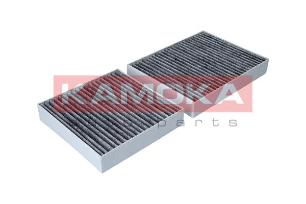 Filter, interior air - F506101 KAMOKA