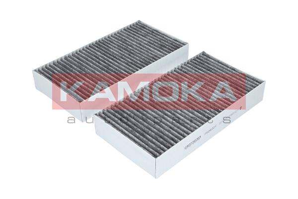 Filter, interior air - F506201 KAMOKA