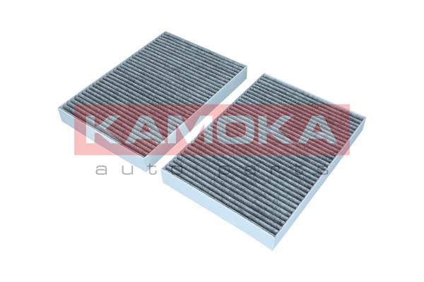 Filter, interior air - F506301 KAMOKA
