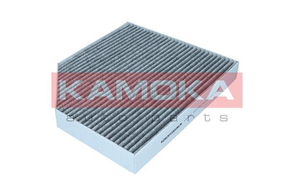 filtras, salono oras - F508901 KAMOKA