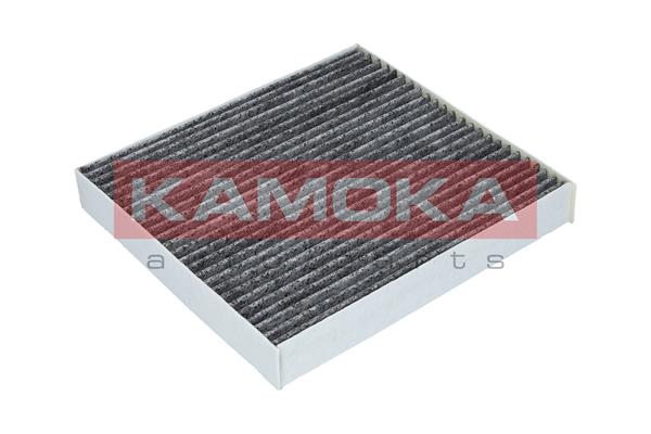 Filter, interior air - F509901 KAMOKA