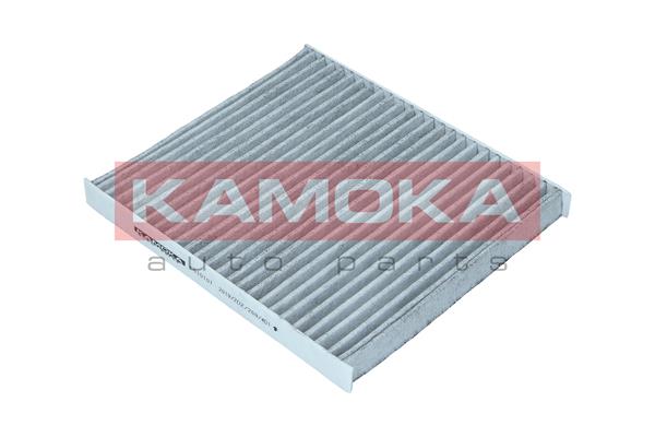 Filter, interior air - F510101 KAMOKA