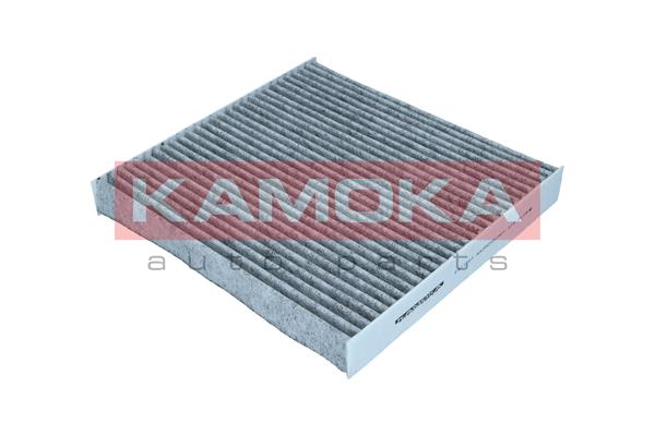 filtras, salono oras - F511501 KAMOKA