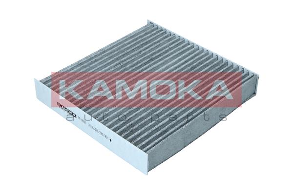 Filter, interior air - F512501 KAMOKA