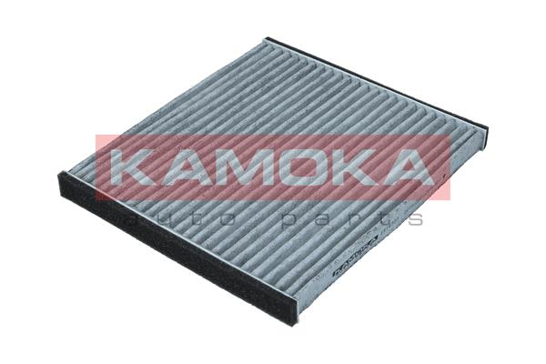 filtras, salono oras - F514301 KAMOKA