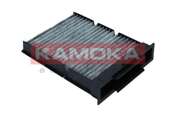 Filter, interior air - F515201 KAMOKA