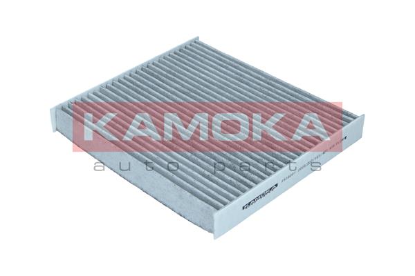 Filter, interior air - F516001 KAMOKA
