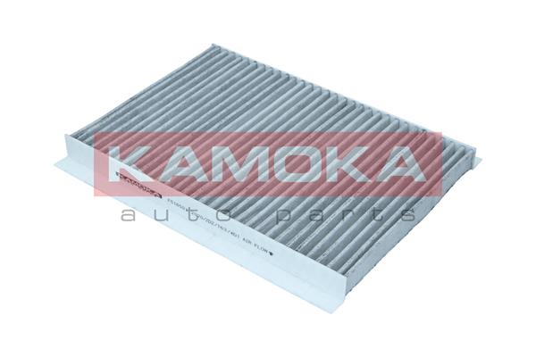 filtras, salono oras - F516501 KAMOKA