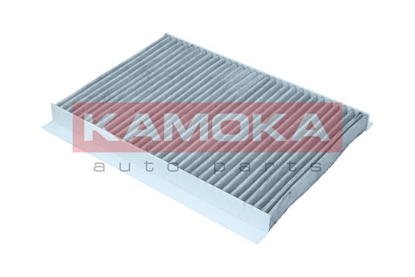 filtras, salono oras - F516501 KAMOKA