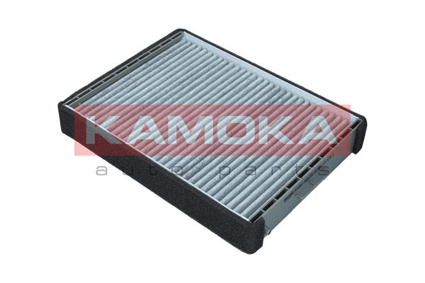 Filter, interior air - F516901 KAMOKA
