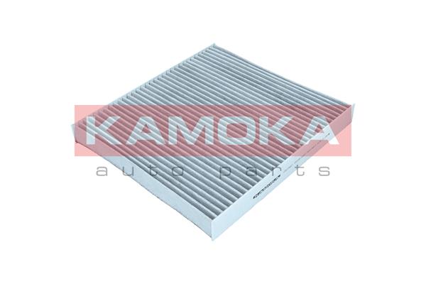 filtras, salono oras - F517301 KAMOKA