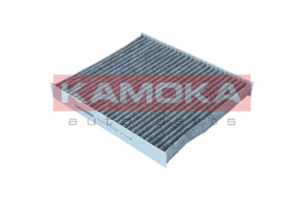 Filter, interior air - F521601 KAMOKA