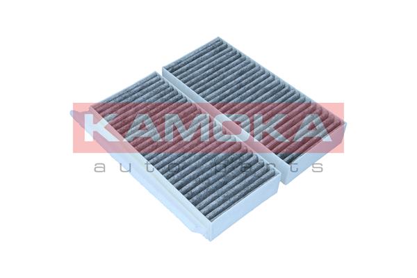 Filter, interior air - F521901 KAMOKA