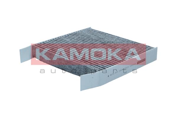 Filter, interior air - F523801 KAMOKA