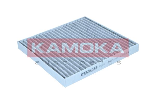 Filter, interior air - F524801 KAMOKA