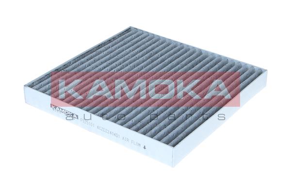 Filter, interior air - F525101 KAMOKA