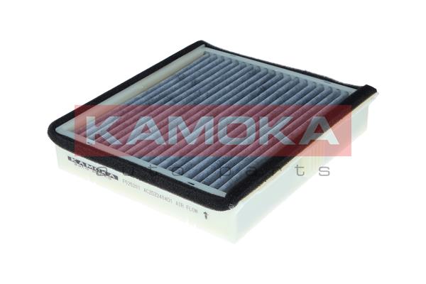 Filter, interior air - F525201 KAMOKA